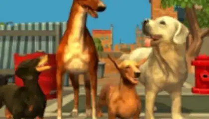 Doggy Dog Universe