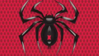 Spider Solitaire