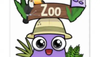Moy Zoo