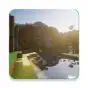 Shaders